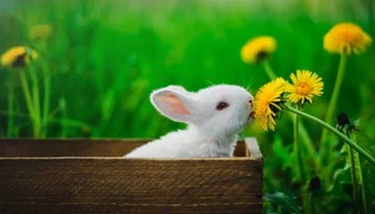 上海高价上海医保提取2025的最新政策(2025年上海上海医保怎么提取现金分享)